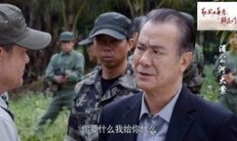 电视剧眉公河大案全集在线观看,揭秘跨国毒品交易的惊心动魄