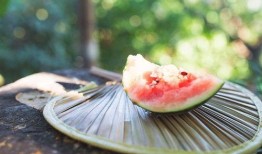 免费吃瓜最新入口视频,视频盛宴等你来享